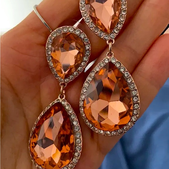 Elegant Salmon Pink Earrings - Picture 2 of 3